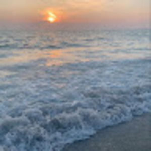 Meet your Posher, Maya